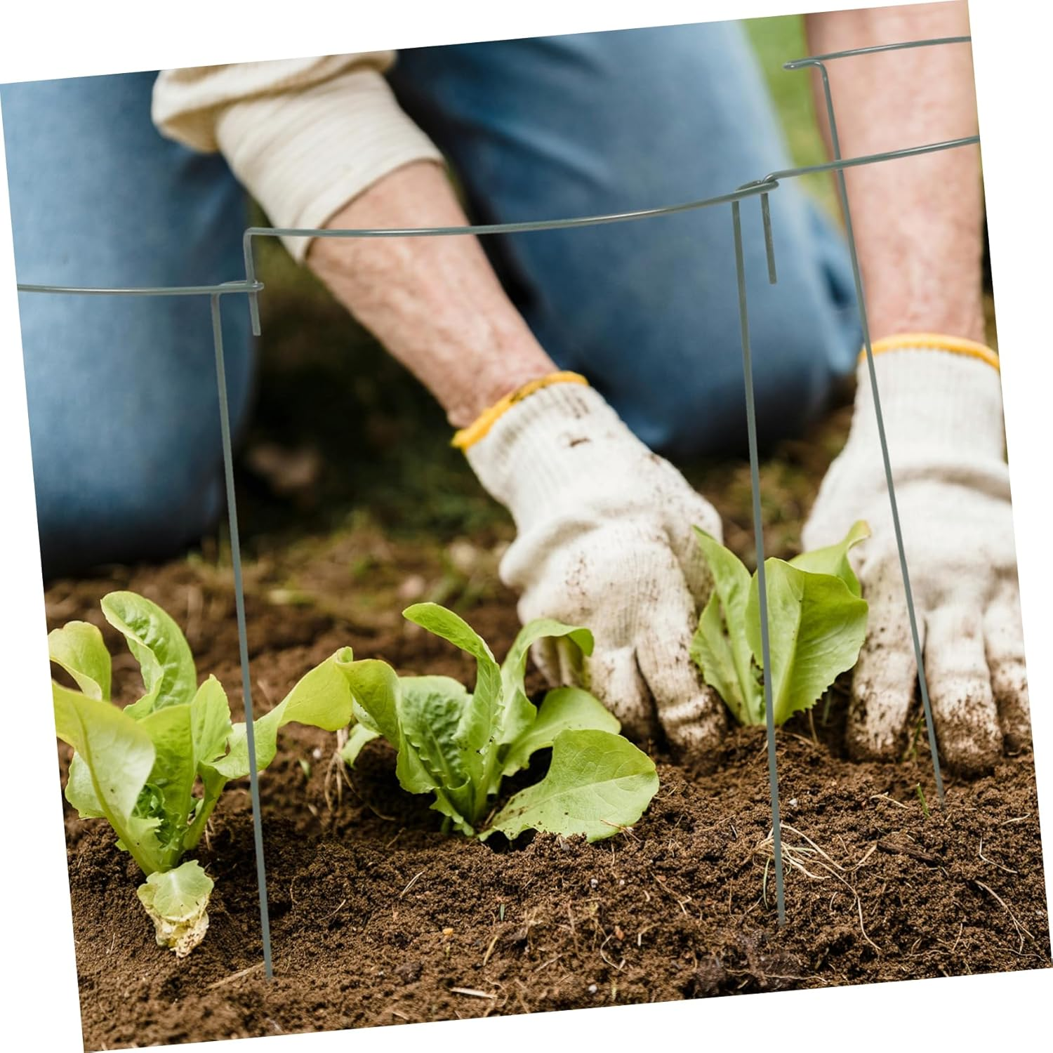 5Pcs Plant Trellis Support for Climbing Plants Curved Flower Bracket for Use Garden Stake Height image number 2