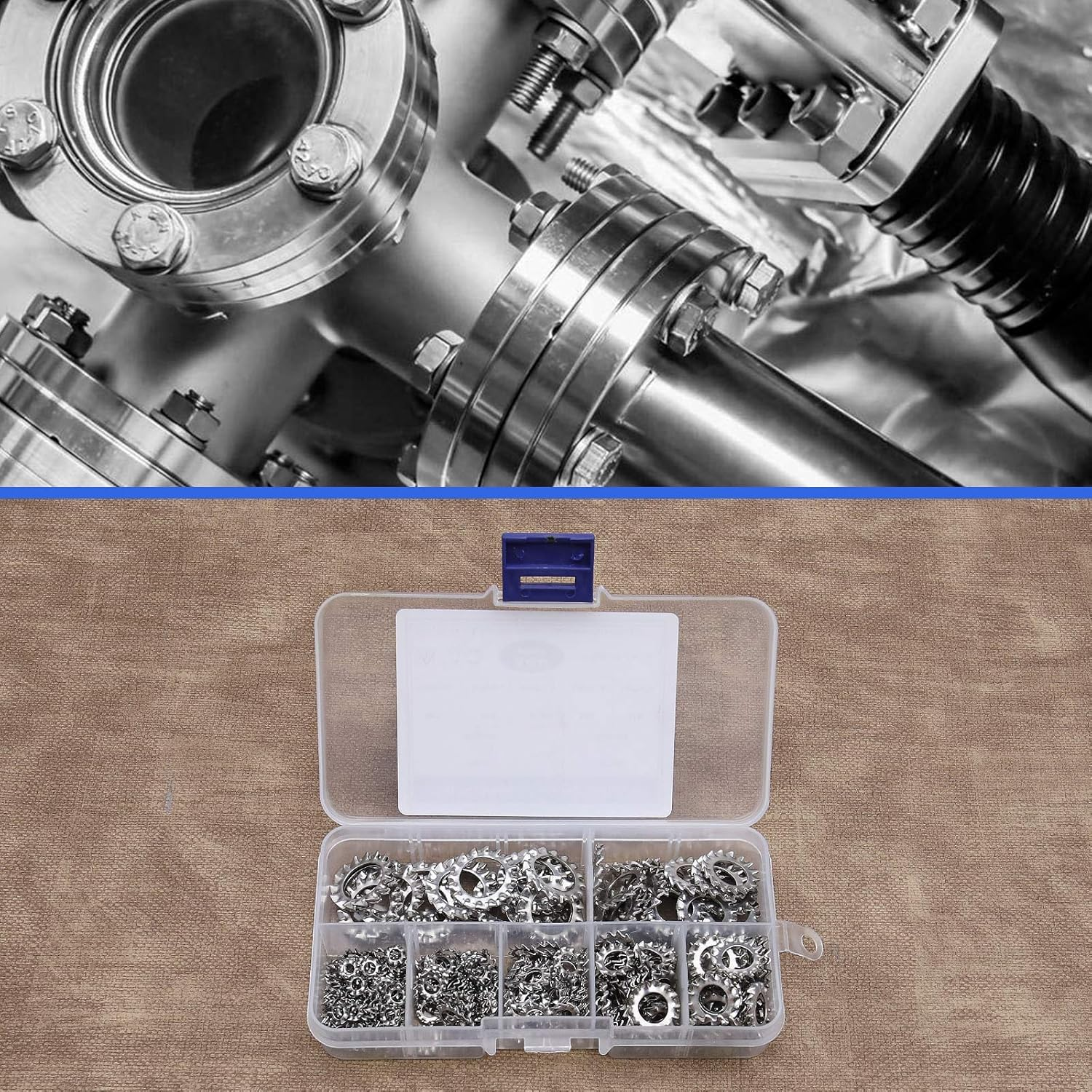 Emsea 300Pcs M3-M12 External Serrated Lock Washers Assortment Set with Storage Box M3 M4 M5 M6 M8 M10 M12 304 Stainless Steel image number 2