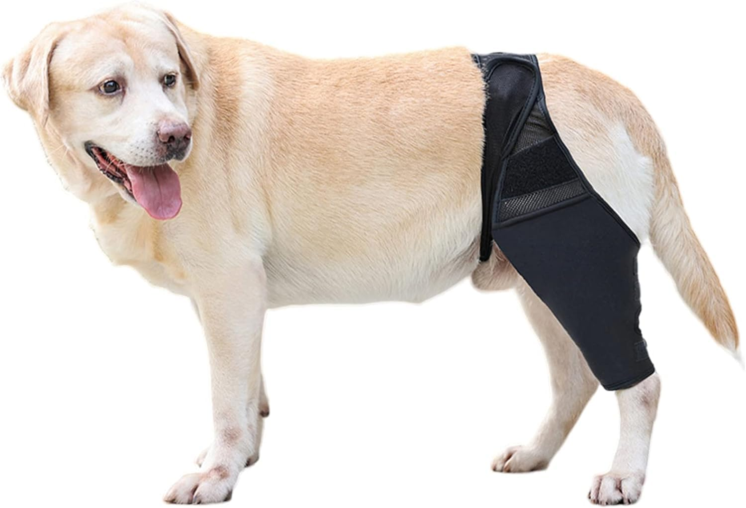 Pet Dog Knee Brace Adjustable Multifunctional Protective Gear with Magic Stickers for Wounds Heals Black M (XL, Black)