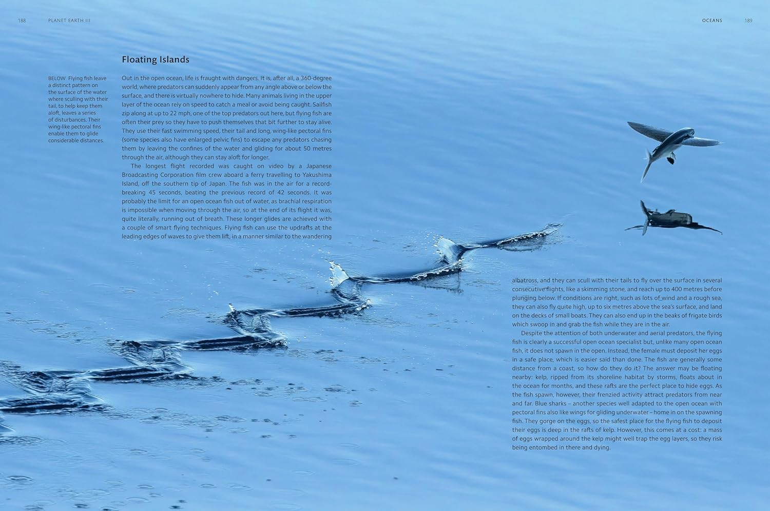 Planet Earth III: Accompanies the Landmark Series Narrated by David Attenborough image number 3