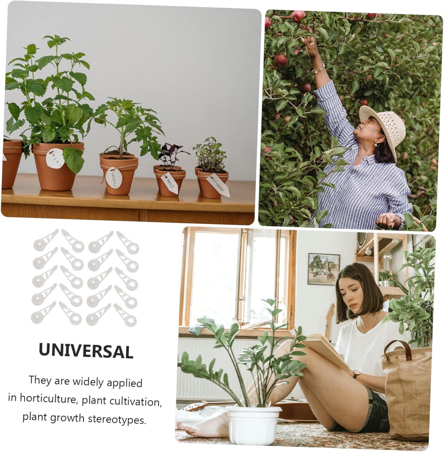 20Pcs Plant Bender Trainer Adjust Garden Plant Clips for Fruit Trees Flower Bending Clamps image number 6