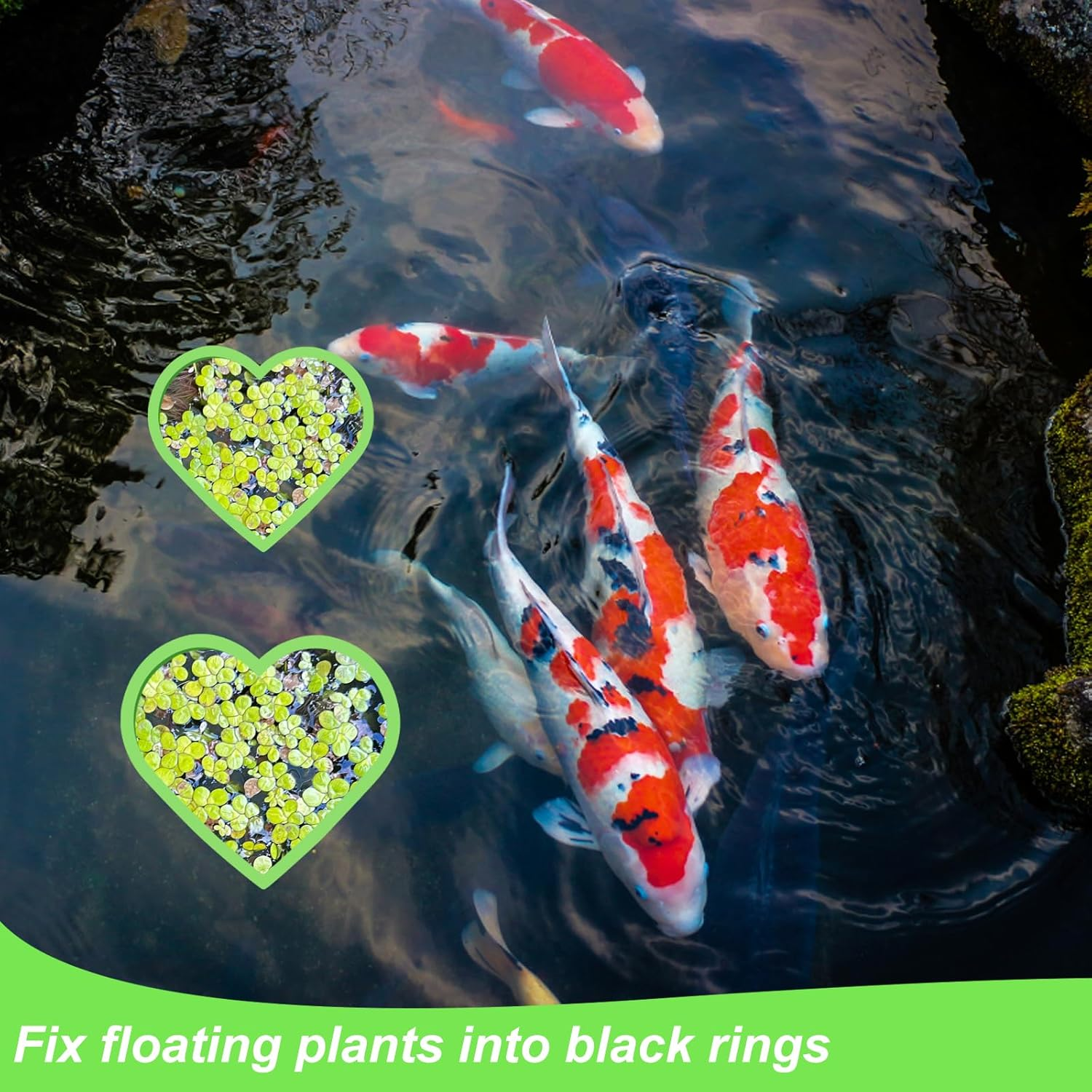 5Pcs Aquarium Floating Plant Rings, Foam Betta Fish Feeding Rings Heart Shaped Fish Tank Feeder Plant Fence Corral Keep Floating Plants in Place & Out of Filters Decor (Green) image number 3