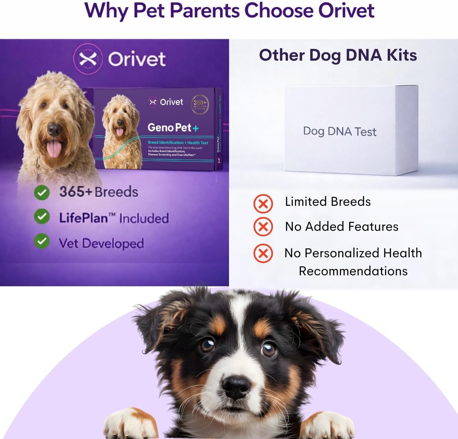 ORIVET Dog DNA Test Kit for Breed Identification & Genetic Health &ndash; 365+ Breeds, Puppy DNA Test, Mixed Breed Testing, Trait & Ancestry Report, at Home Cheek Swab, Vet Approved (ORIVET Genopet Plus) image number 3