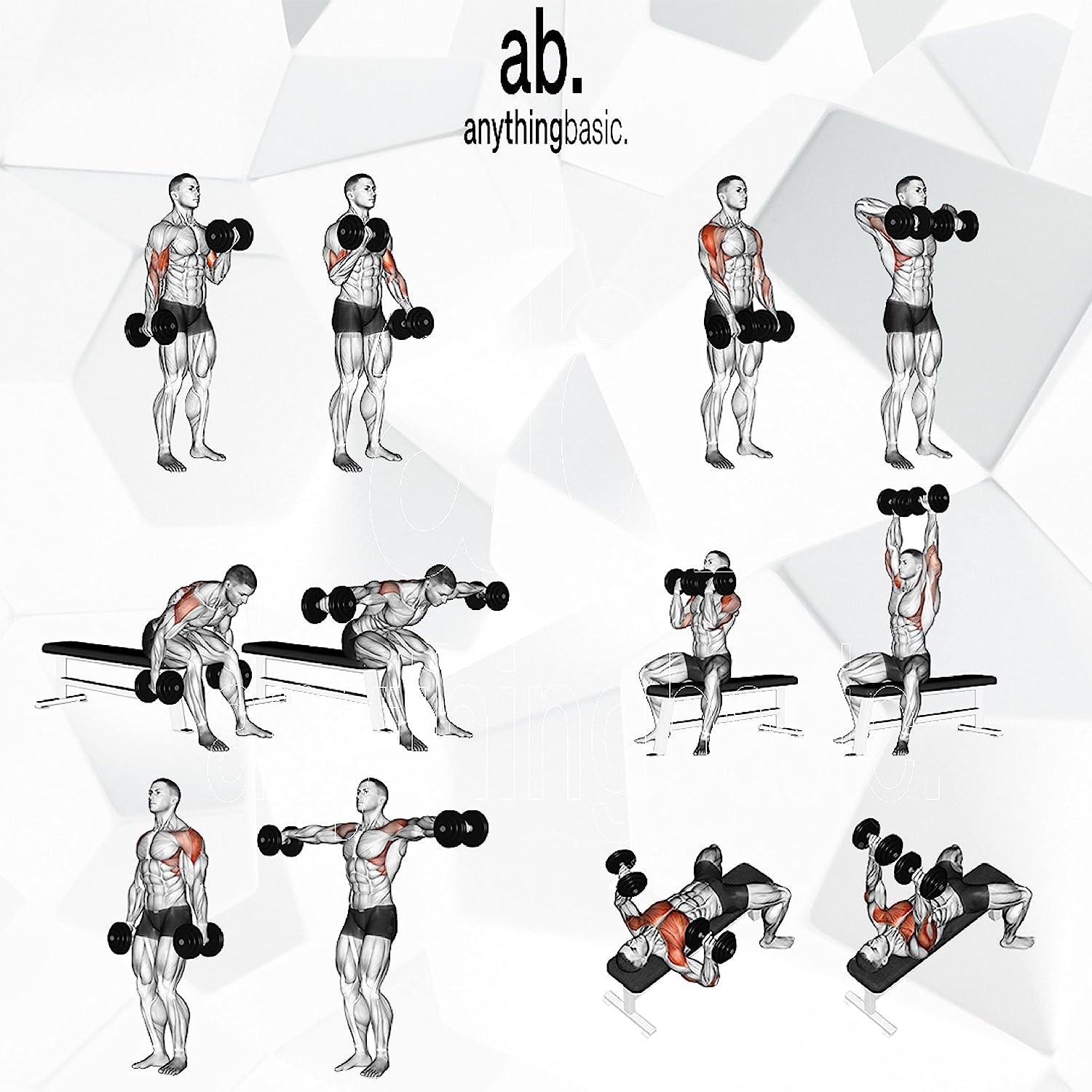 Anythingbasic Adjustable PVC Dumbbell Set of 8Kg (17.6LB) Includes 4 Plates * 2Kg (4.4LB), 14'' Dumbbell Rod Pair & Nuts | Black | Material : Polyvinyl Chloride | Fitness Kit for Men and Women image number 4