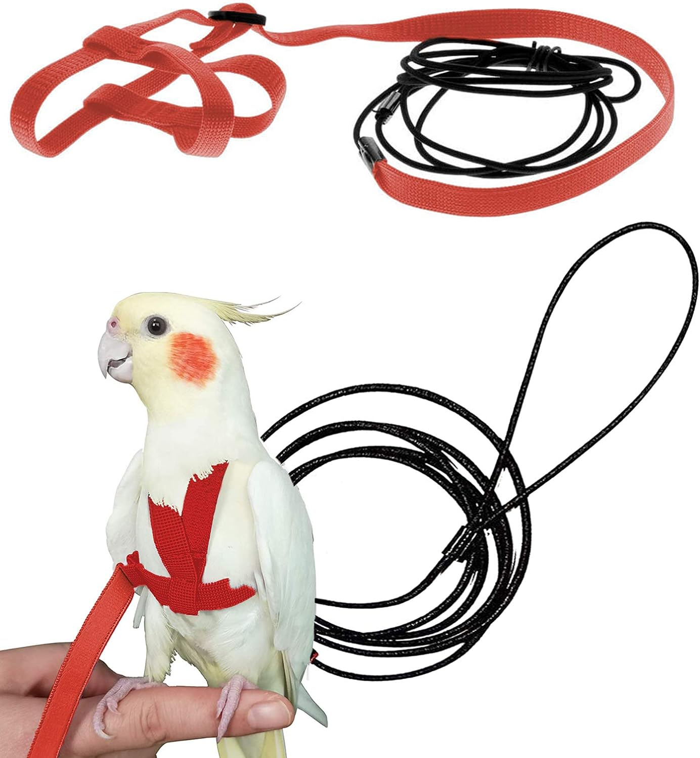CIEOVO Bird Harness, Adjustable Parrot Nylon Leash with Anti-Bite Design for Outdoor Activities Training, Suitable for Eastern Bluebonnet Parrot, Cockatoo, Parakeet, Doves 6.2Ft (S) image number 1