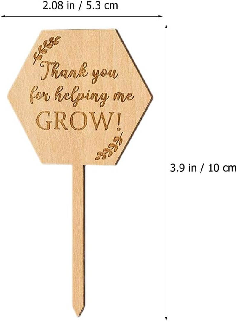 BESPORTBLE Plant Labels Plant Tags: 40Pcs Wood Plant Markers Thank You for Helping Me Grow Succulent Tags Teacher Appreciation Wooden Nursery Garden Labels for Vegetable Potted Plants image number 4