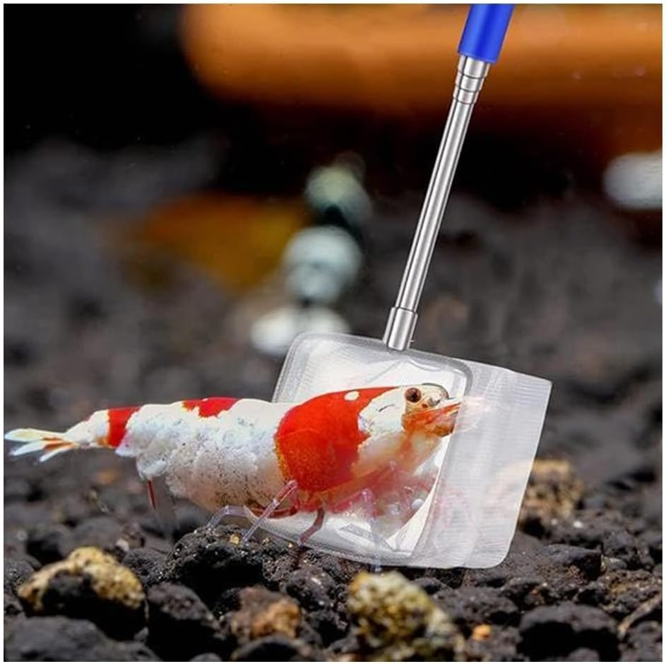 2 Pcs Small Telescopic Shrimp Net,Telescopic Fish Tank Shrimp Net,For Small Fish Shrimp Insect,Aquarium Fish image number 3