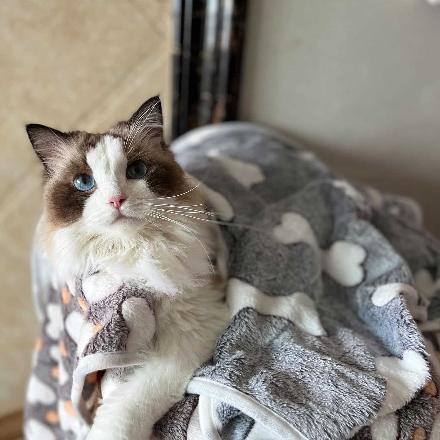 1 Pack 3 Puppy Blankets Super Soft Warm Sleep Mat Grey Cute Print Blanket Fluffy Fleece Pet Blanket Flannel Throw Dog Blankets for Small Dogs Puppy Dogs Fluffy Cats,Bone-Large(40"X30") image number 1