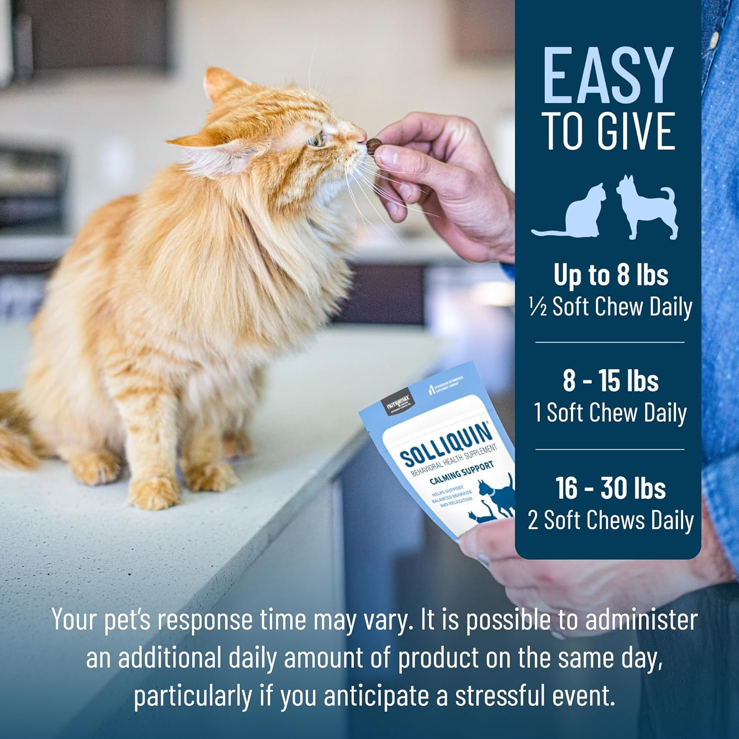 Nutramax Solliquin Calming Behavioral Health Supplement for Small to Medium Dogs and Cats - with L-Theanine, Magnolia/Phellodendron, and Whey Protein Concentrate, 75 Soft Chews image number 2