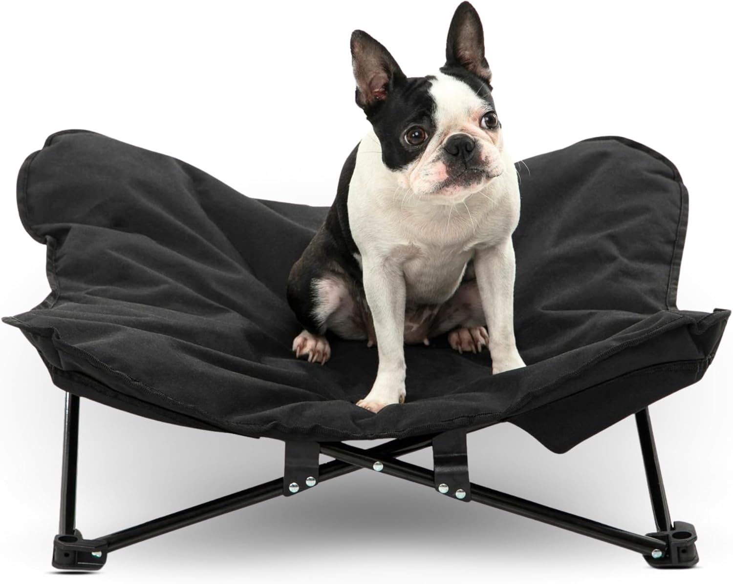 Charlie'S Pet Portable and Foldable Outdoor Pet High Chair Scratch-Resistant Highly Breathable - Black 90X90X25Cm; It Can Load a Maximum Weight of 45Kg