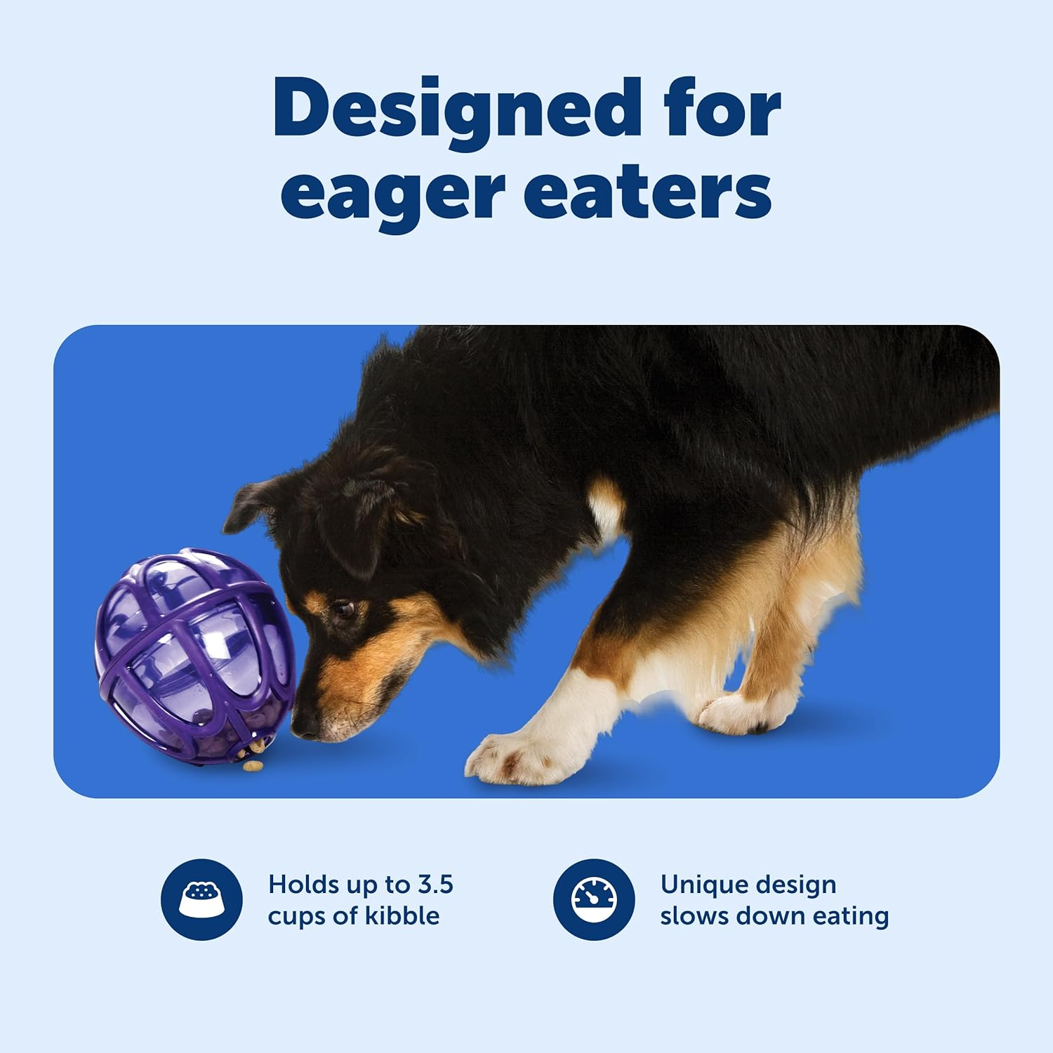 Petsafe Busy Buddy Kibble Nibble Meal Dispensing Dog Toy, Small - Pty00-13739,Purple image number 1