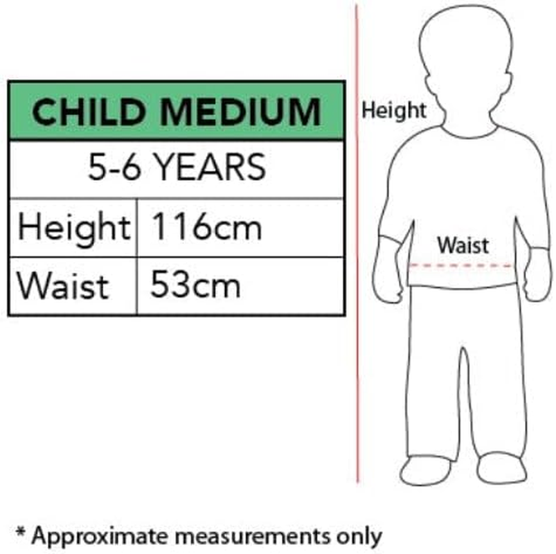 Elsa Deluxe Costume for Kids - Disney Frozen 2 - Medium (5-6 Yrs) image number 1