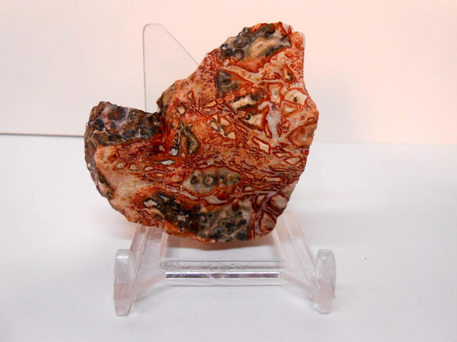 Rockhound'S 1St Choice Rock Tumbler Gem Refill Kit -Mexico Red Leopardskin Jasper Rough- 8Oz image number 3
