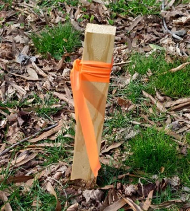 GSA Flagging Tape, 75 M Length X 25 Mm Width, Orange (Pack of 2)