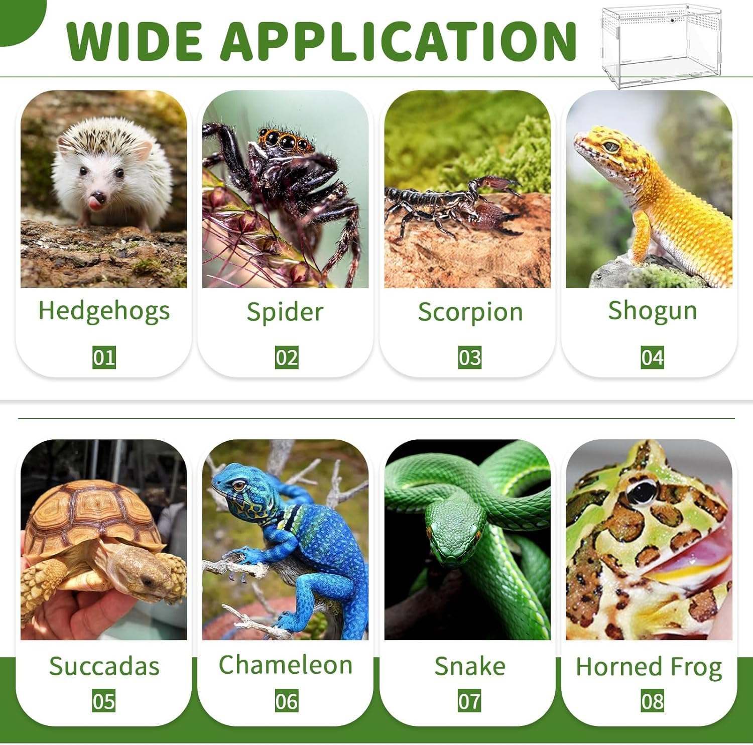 2 Sets Acrylic Clear Reptile Tank Accessories, Mini Spider Enclosure 7.9&rsquo;&rsquo;X4.8&rsquo;&rsquo;X4.8&rsquo;&rsquo;, Jumping Spider Enclosure - Acrylic Terrarium for Tarantulas, Reptiles (20 X 12 X 12Cm) image number 4