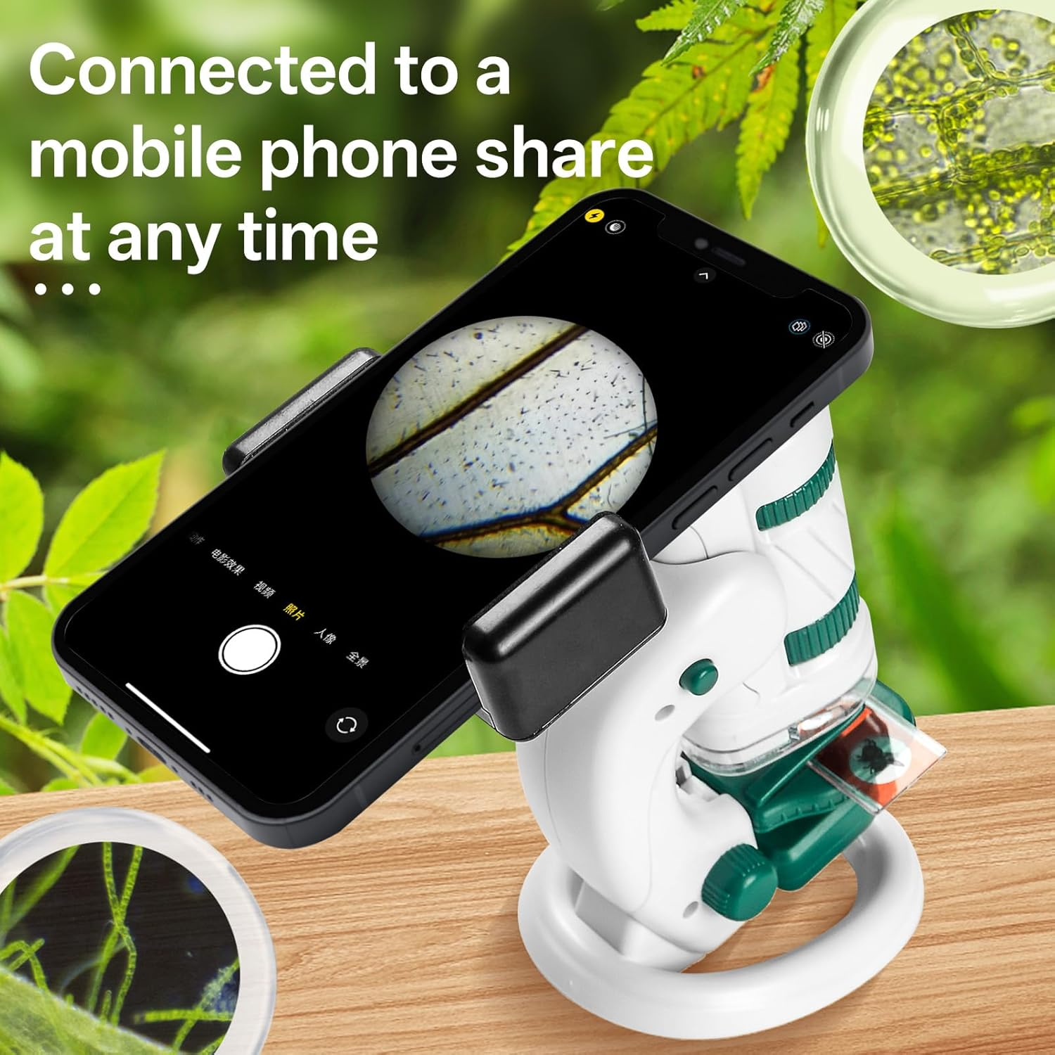 Microscope Toys for Kids Zoom 60X-180X, Handheld Mini Toddlers-Educational Science Toys Little Scientist, Pocket Microscope with 12Pcs Slides, Gifts for 6+ Girls Boys(Green) image number 6