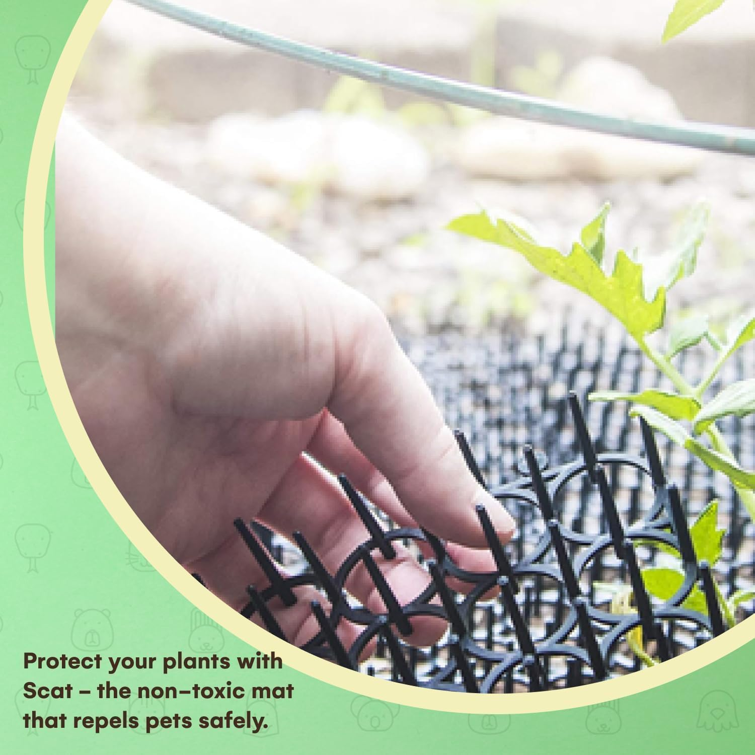 10 Pcs Cat Deterrent Scat Mat for Cats,8X16 in Scat Mat for Cats,Cat Repellent Outdoor Cat Scat Mat,Cat Scat Mat with Plastic Spikes Cat Deterrent Mats Scat Mat,Cat Spike Mat Anti-Dig for Garden image number 1