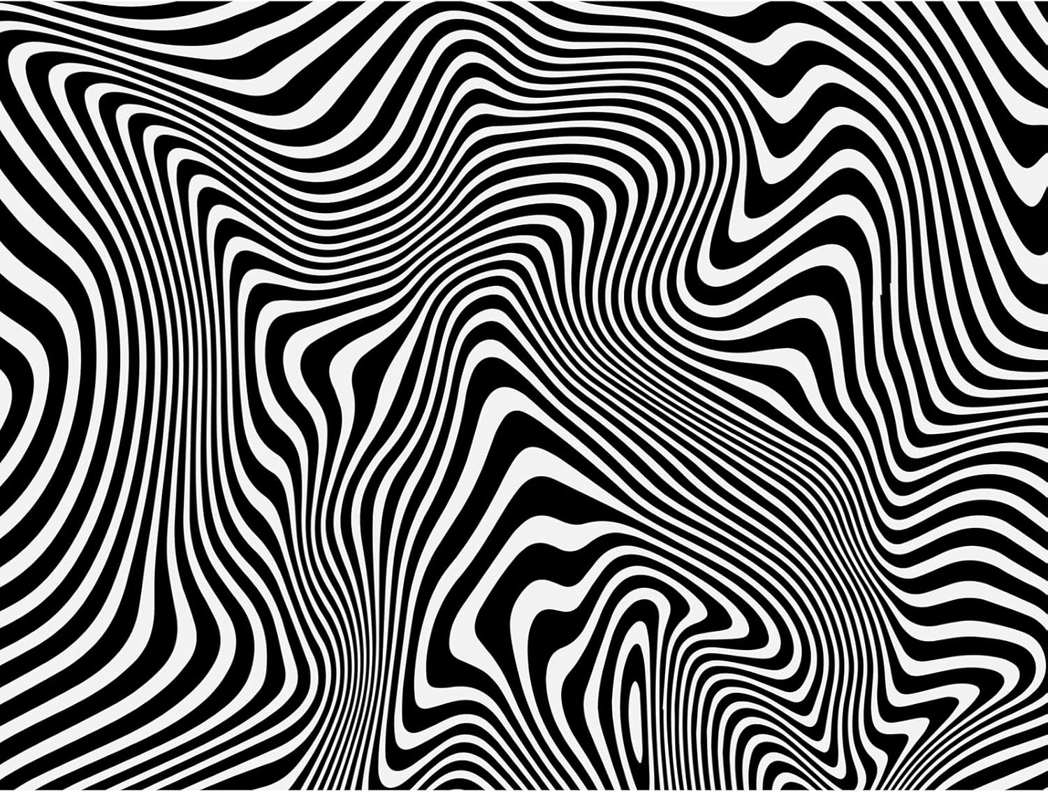 MISITU 1000 Pieces Jigsaw Puzzle for Adults - Black and White Strips Impossible Challenging Difficult Abstract Hard Puzzle - Christmas Home Decorations 28 X 20 Inch image number 2