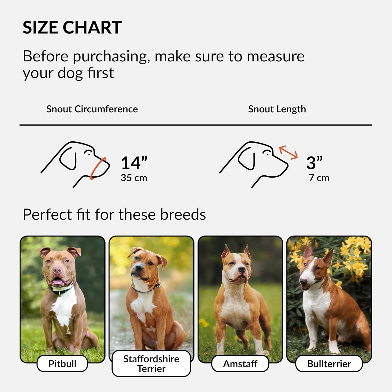 Collardirect Pitbull Dog Muzzle Leather Amstaff Muzzles Staffordshire Terrier Secure Basket (Black) image number 2