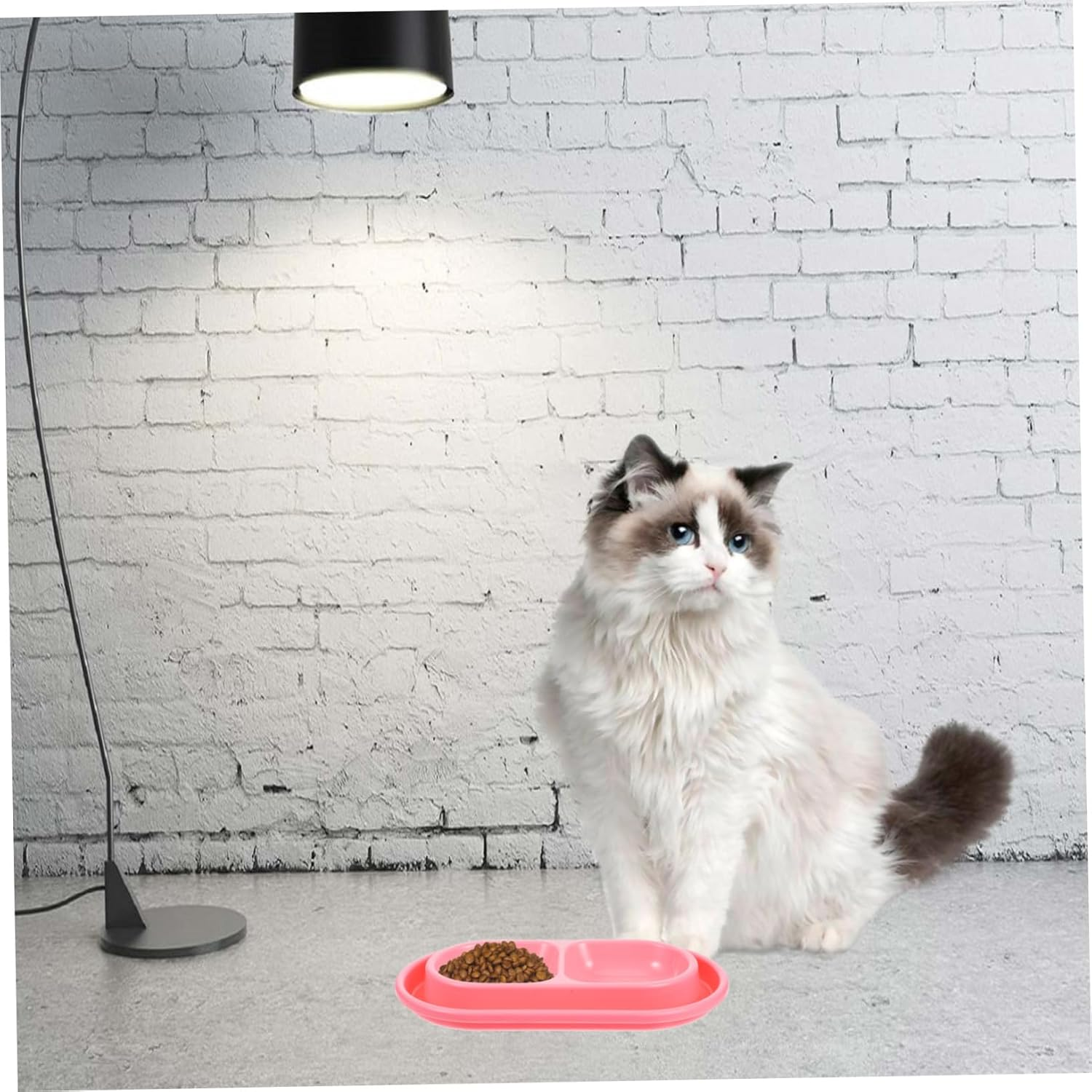 Milisten Ant Proof Cat Bowl Dual Feeding Station with Water Moat for Indoor Outdoor Use Space Saving Pet Food and Water Bowls Suitable for Cats and Small Dogs