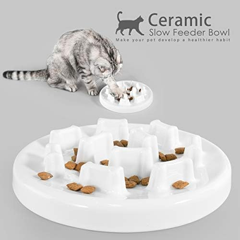 Anti-Gulping Dog Cat Bowl Slow Feeder Interactive Bloat Stop Pet Bowl for Fast Eaters anti Bloat Stop Gobbling (Bone Shape) image number 1