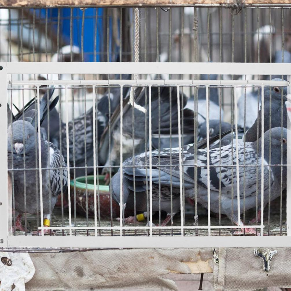 INOOMP Bird Cage Accessory - Stainless Steel Pigeon Entrance One-Way Door - Easy Installation Trap for Bird House - Replacement image number 1