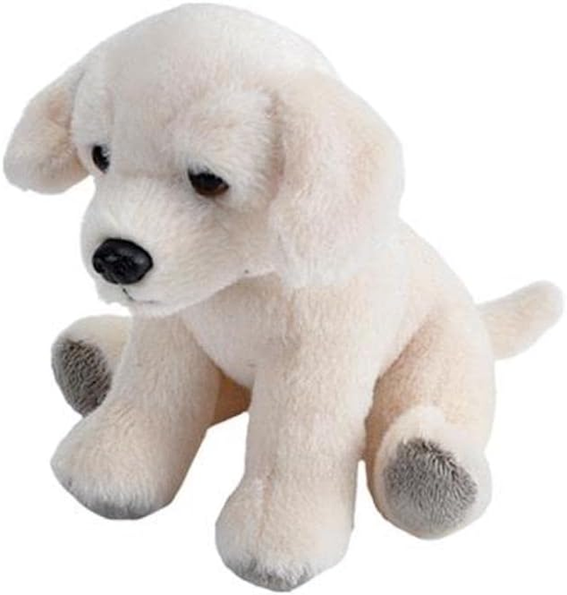 Wild Republic Pocketkins, Yellow Labrador, Stuffed Animal, 5 Inches, Kids, Plush Toy, Fill Is Spun Recycled Water Bottles