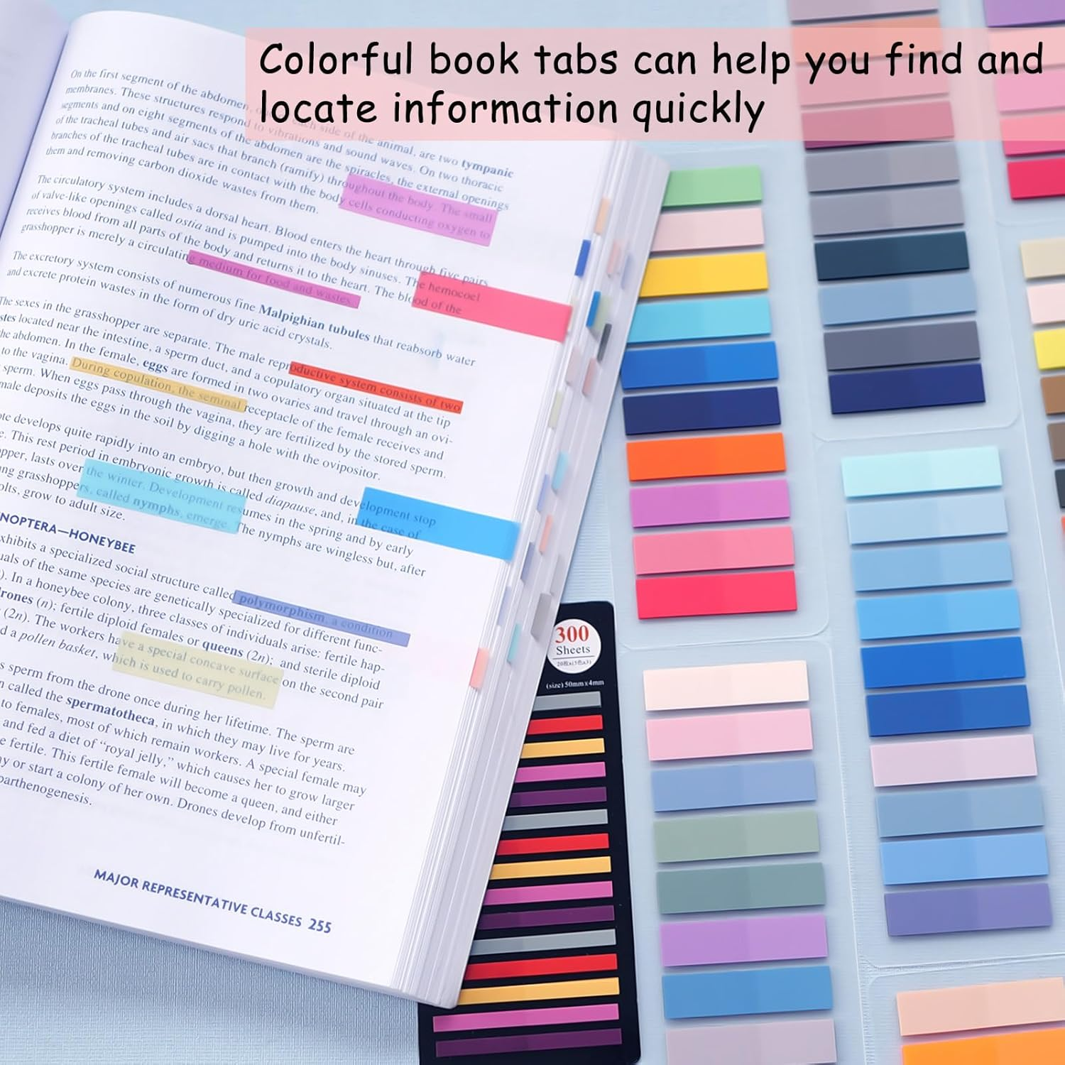 WSCHU 3400Pcs Sticky Tabs Book Tabs, Morandi Translucent Book Markers Sticky Note Tabs,Multi-Colored Writable & Repositionable Book Annotation Tabs, Page Markers, Annotation Supplies image number 3