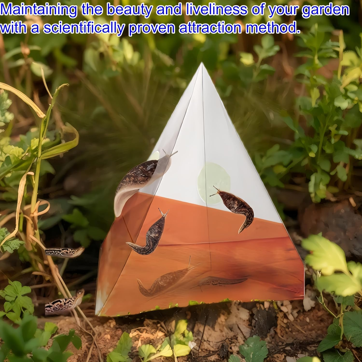 20 Pcs Snail Bait Reusable Snail Traps for Garden Pet image number 3