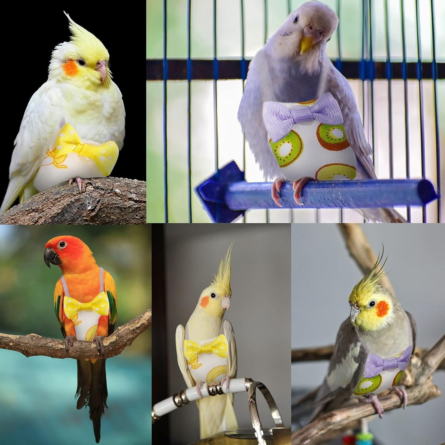 Bird Diaper Parrot Washable Diapers, Parrot Flight Suit, Reusable Nappies for Parakeet Cockatiel Mini Macaw Budgie Canary 2 Pcs (S) image number 1