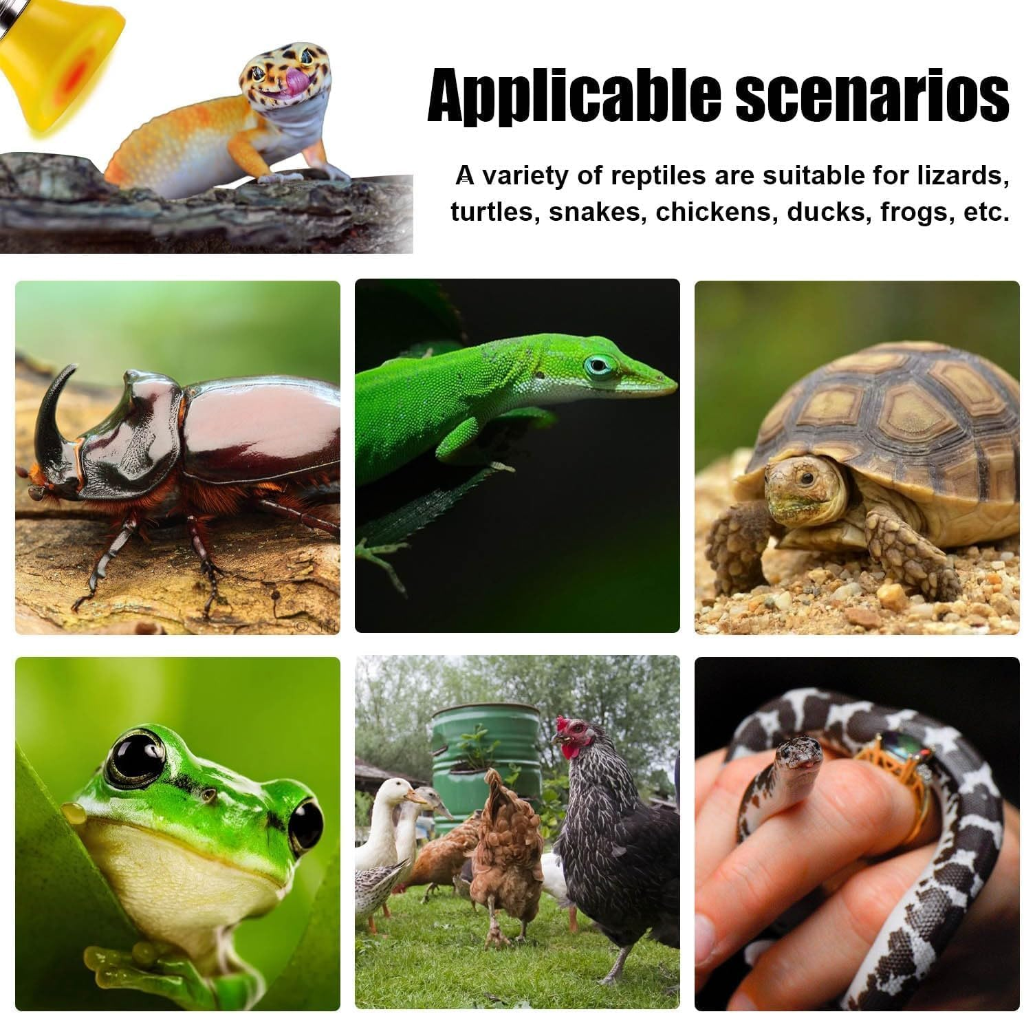 3 PCS Pet Ceramic Heat Lamp, Infrared Bulb Emitter Lamp, 25W 50W 75W, Reptile Heating Lamp Bulb, E27 Interface, Heating Color Change, Fit for Pet Brooder Coop Chicken Reptiles Amphibian (Yellow) image number 4