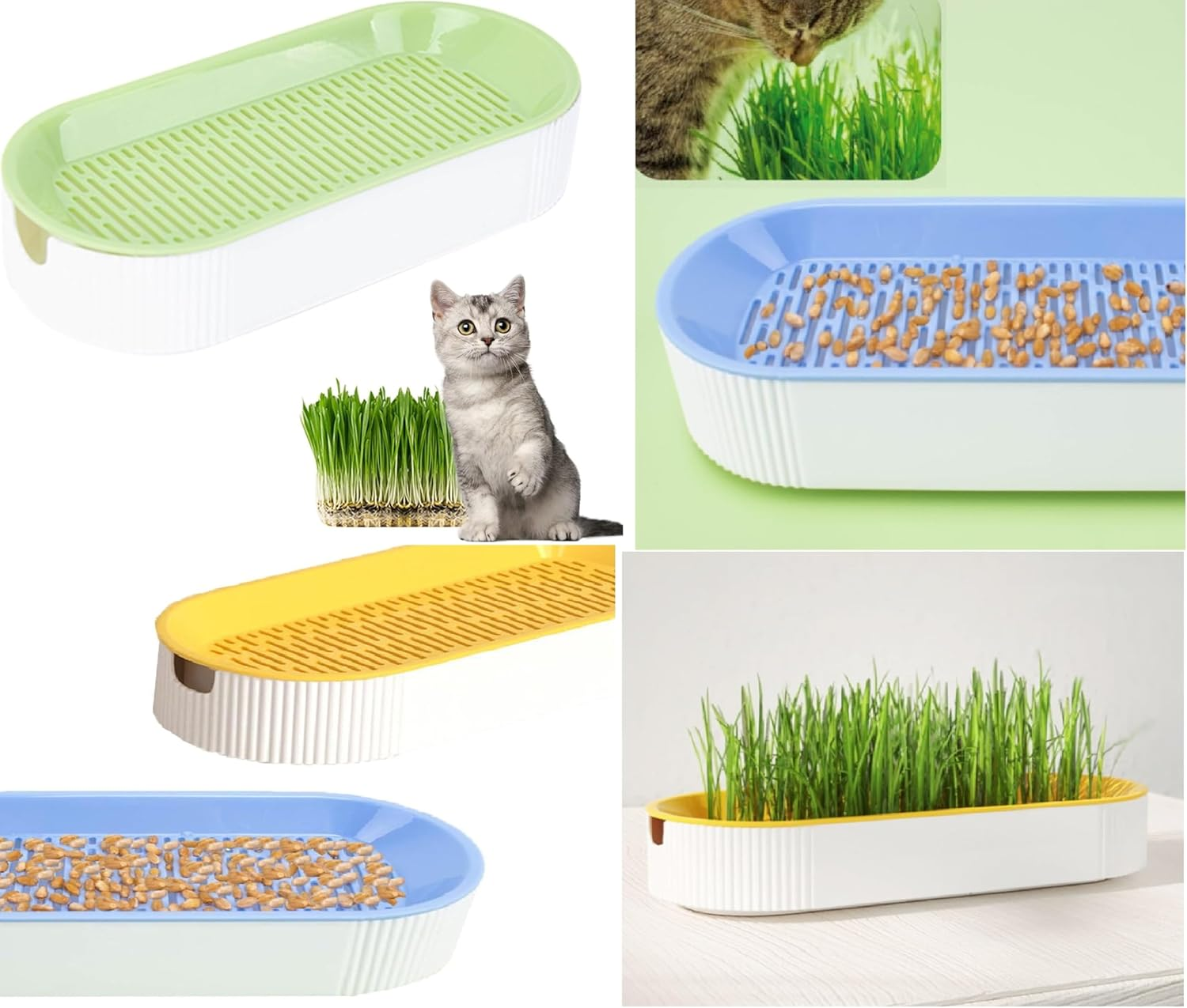 3 Pcs Cat Grass Planter, Hydroponic Cat Grass Planter,Planting Box,Soilless Culture Growing Kit, Nursery Planting Box for Indoor, (Yellow Green Blue) image number 1