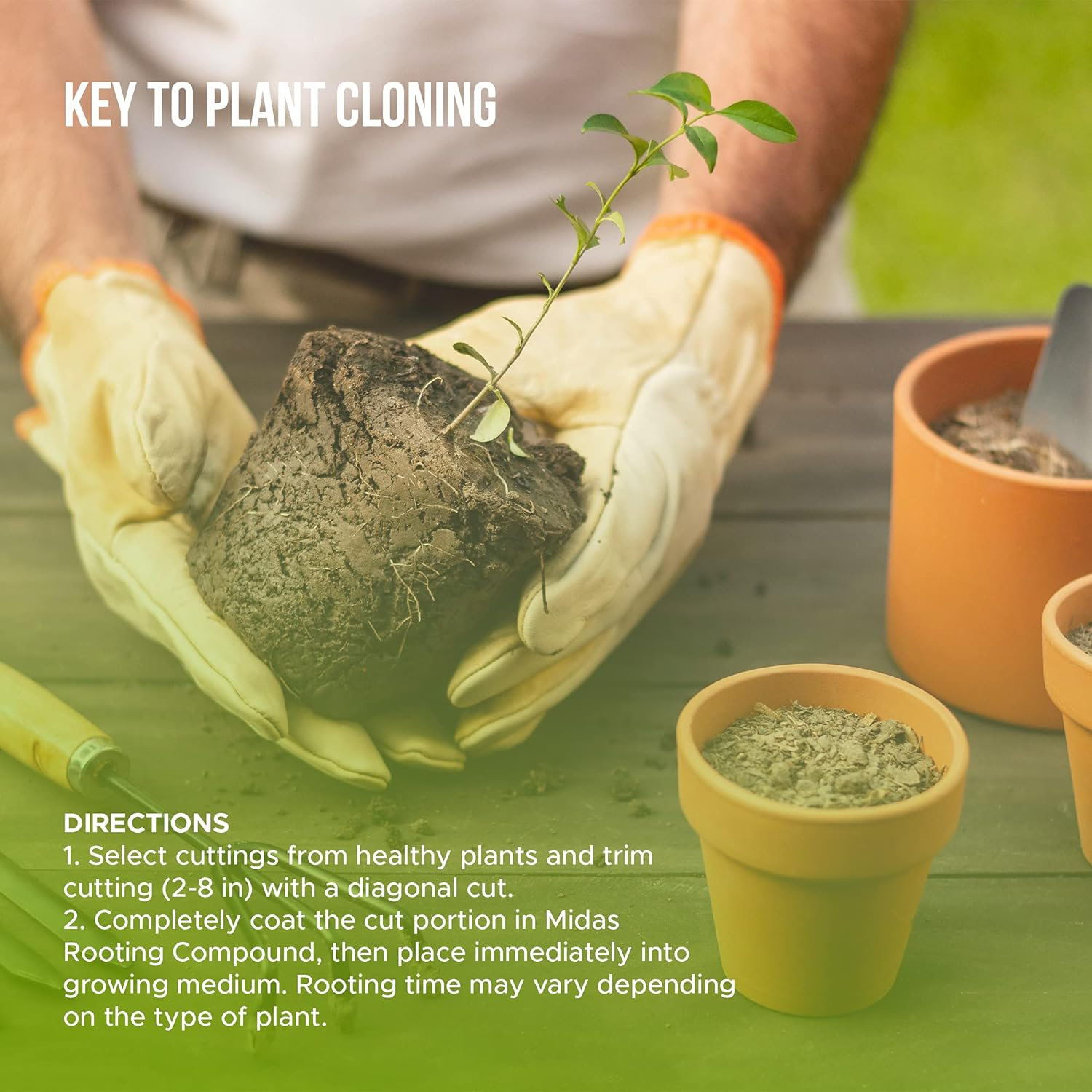 Midas Hydro Products Rooting Gel - .35 IBA Rooting Hormone - Cloning Gel - 4Oz - Plant Cloning - Rooting Gel for Professional and Home Based Growers image number 6