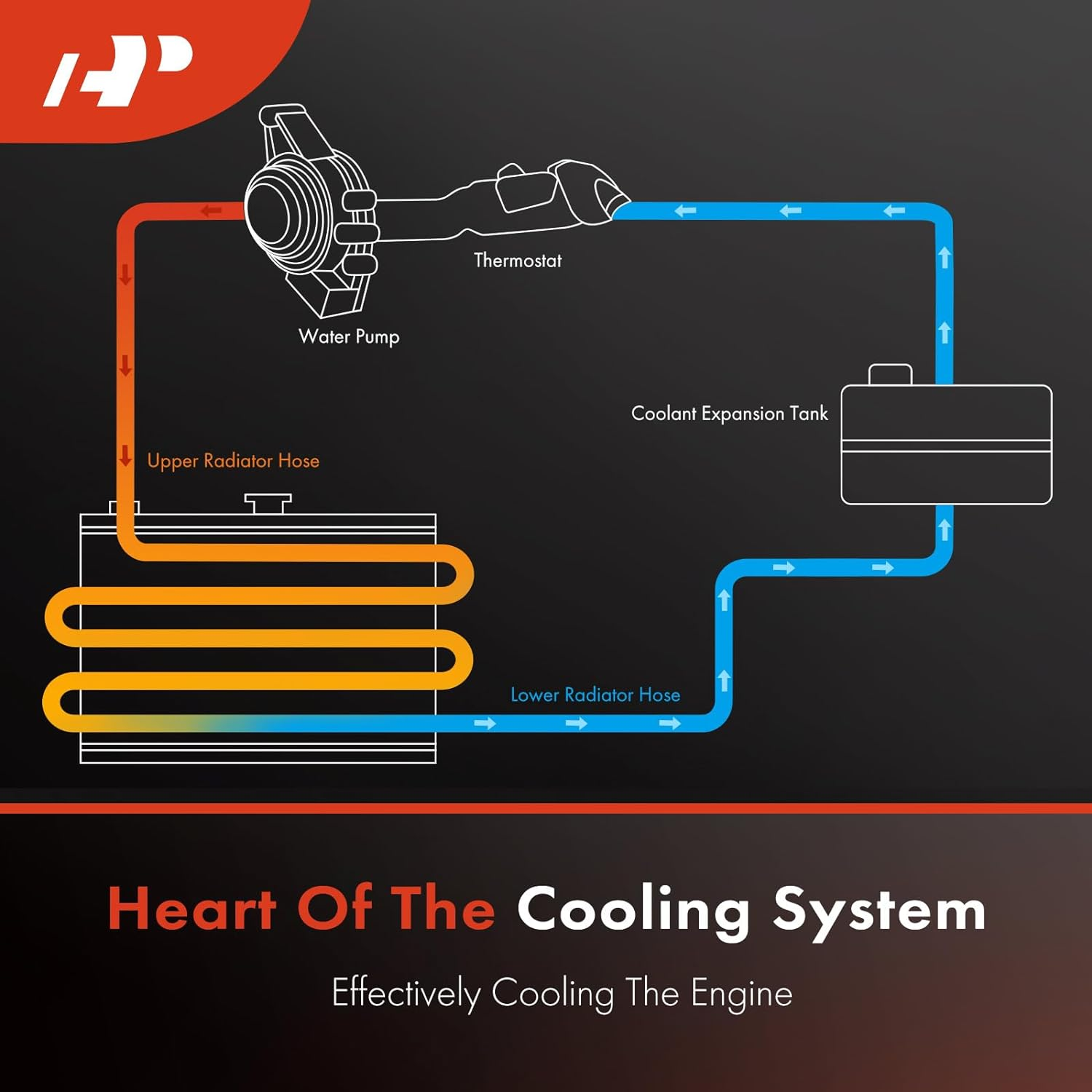 A-Premium Radiator Coolant Hose Front Compatible with BMW F10 528I 2009 2010 2011 2012 2013, 2.0L 3.0L 4.4L, Replace# 17127578399 image number 4