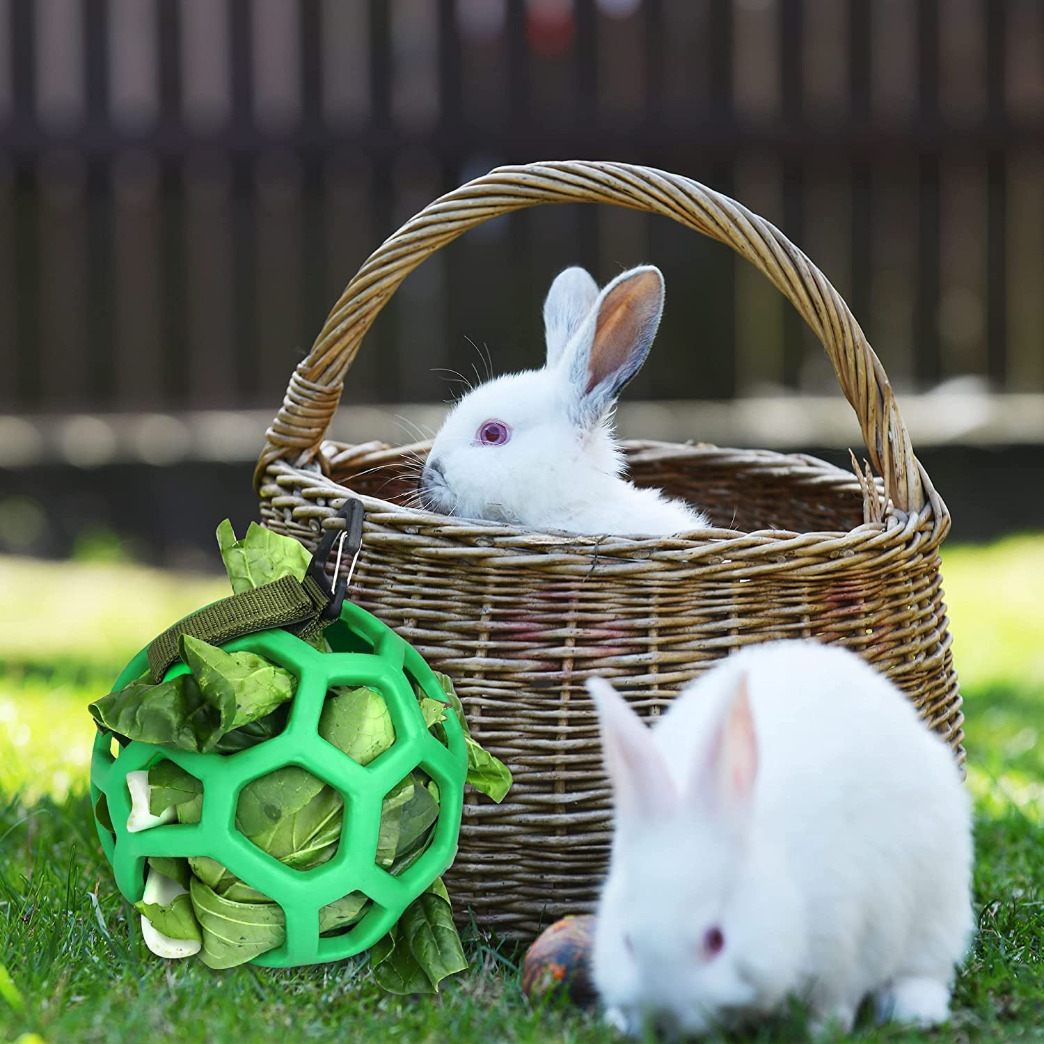 Rabbit Guinea Pig Hanging Hay Feeder Ball Small Animal Feeder Rack Dispenser Food Balls Toy Pet Grass Play Hay Chew Ball Grass Vegetable Hanging Holder for Small Animals Pet Hamster Bunny Rabbit image number 6