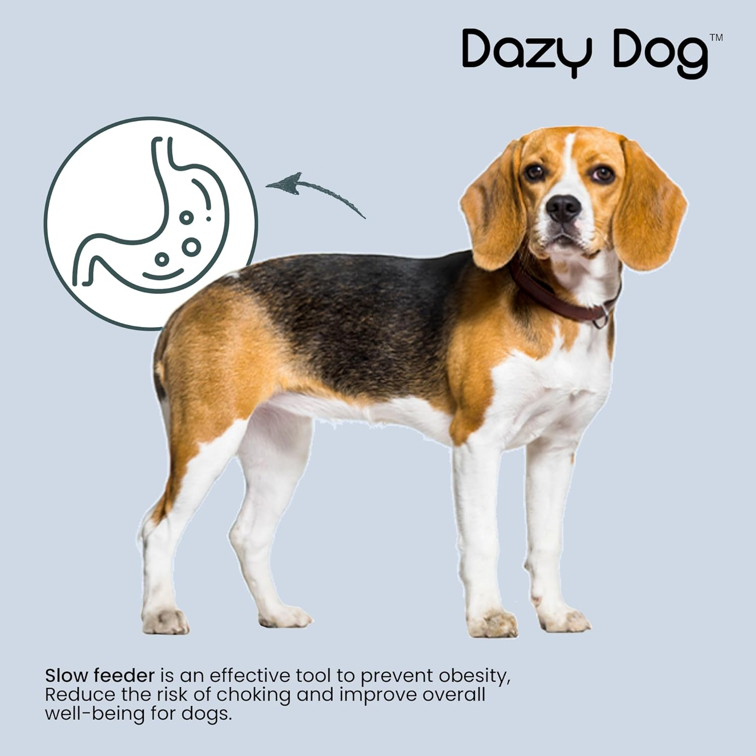 Dazy Dog Slow Feeder Insert for Bowl - Compatible with Dazy Dog Bowls - Promote Healthy Eating Habits image number 1