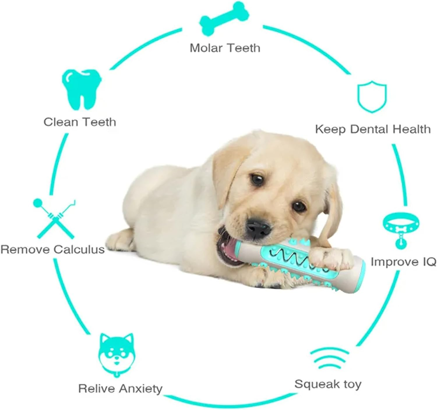The Poochchew,2024 New Dog Chew Toothbrush,Dog Teeth Cleaning Toy,360&deg;Dog Toothbrush Chew Toy,Molar Chew Provides a Deep Clean Teeth Puppy Dental Care (3Pcs) image number 2