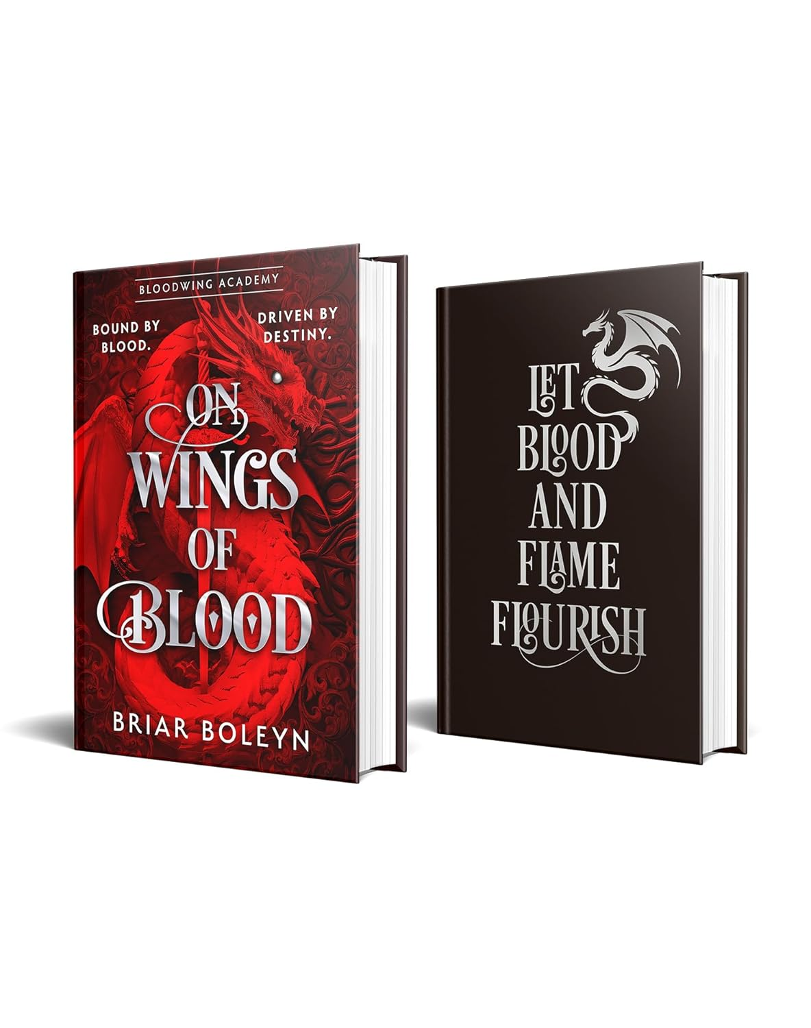 On Wings of Blood (Bloodwing Academy, Book 1): the New and Hottest, MUST-READ Dark Academia, Enemies-To-Lovers Fantasy Romance, with Dragons and Vampires, for 2025! (Bloodwing Academy, Book 1) image number 4