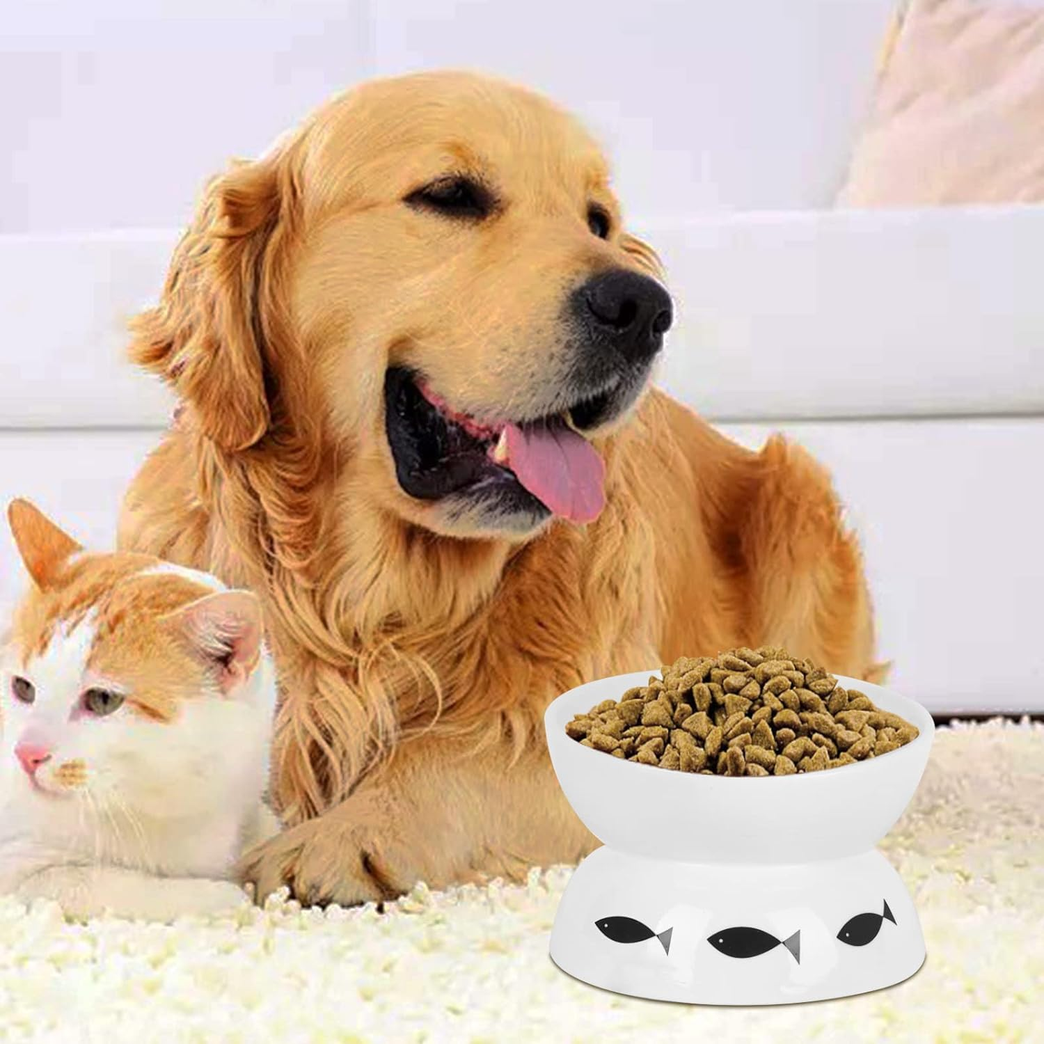 Vencer Cat/Small Dogs Slow Feeding Bowls, Raised Cat/Dog Food Bowl/Water Bowl,Elevated Cat Dog Dish,Pet Bowls for Cats or Small Dogs,Vcb-005 image number 3