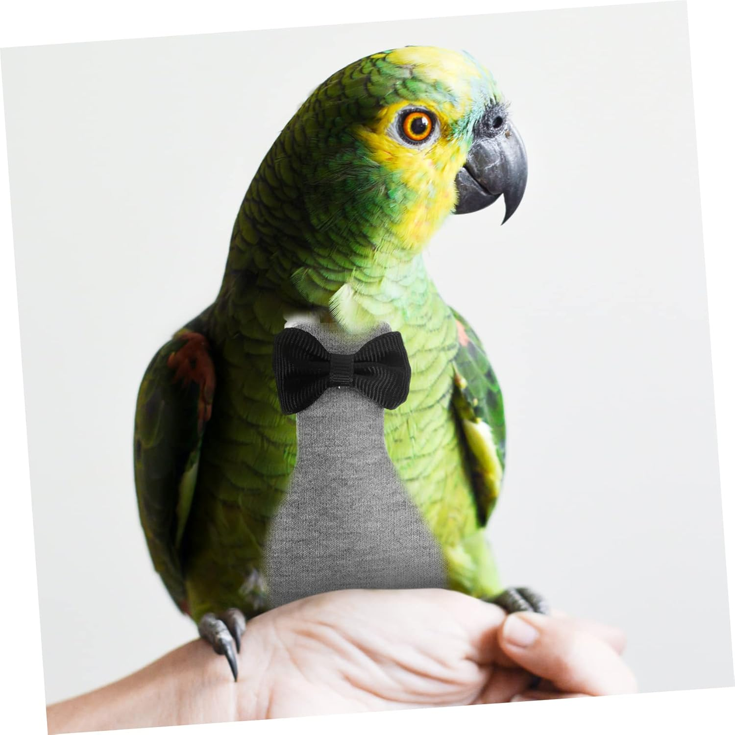 Parrot Nappy Pant Washable Bird Diaper Bird Cosplay Clothing Parrot Flight Suit Comfortable Bird Costume image number 4