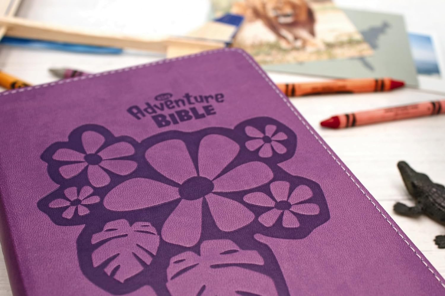 Nirv, Adventure Bible for Early Readers, Leathersoft, Purple, Full Color image number 4