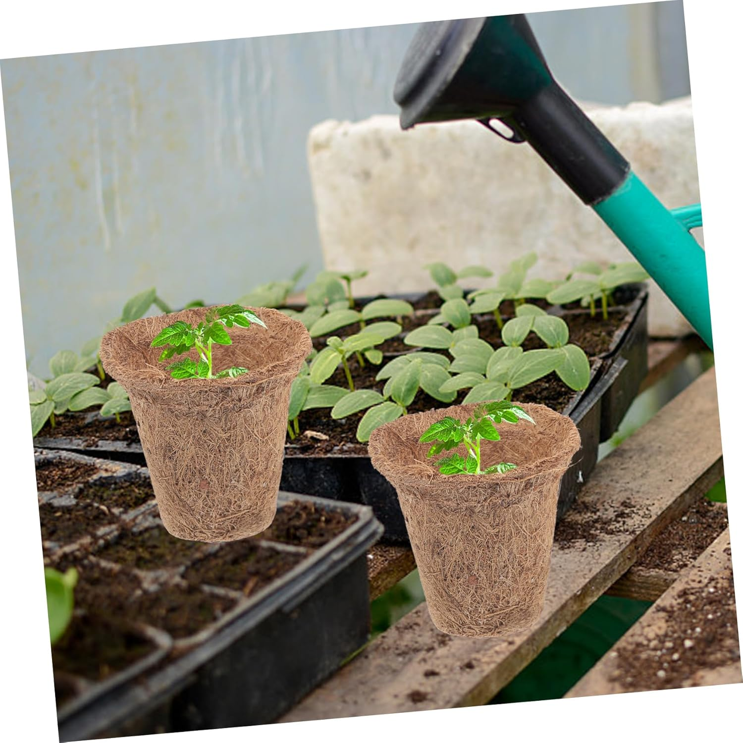 Toddmomy 1Set Coir Plant Nursery Pots Coconut Fiber Cups Nutrient Packs Plant Labels for Easy Transplanting Gardening Supplies image number 1