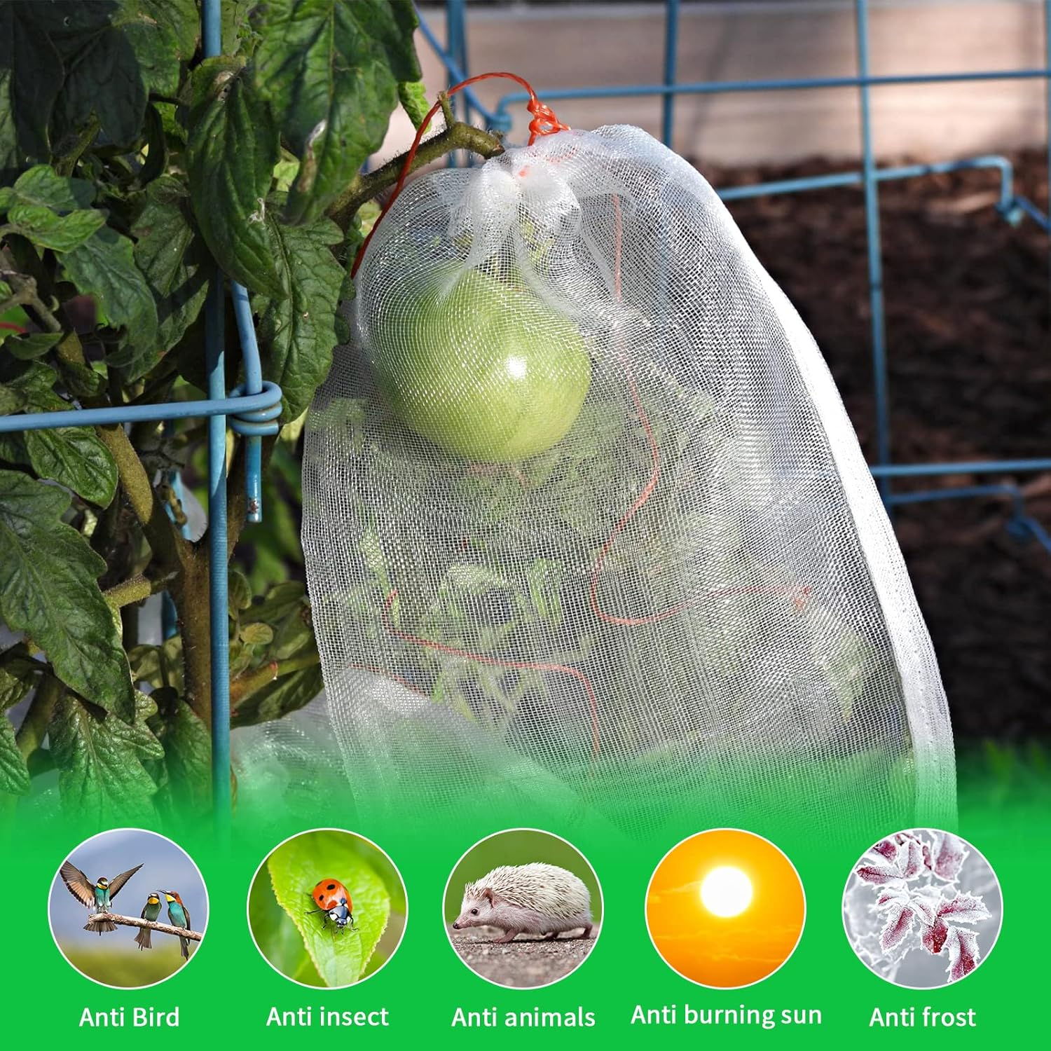 Insect Netting Mesh Garden Netting Fine Mesh Butterfly Garden Netting for Vegetables Plants Fruits Flowers Crops Greenhouse Row Covers Raised Bed Barrier Screen Birds Protection Netting (2 X 3M) image number 2