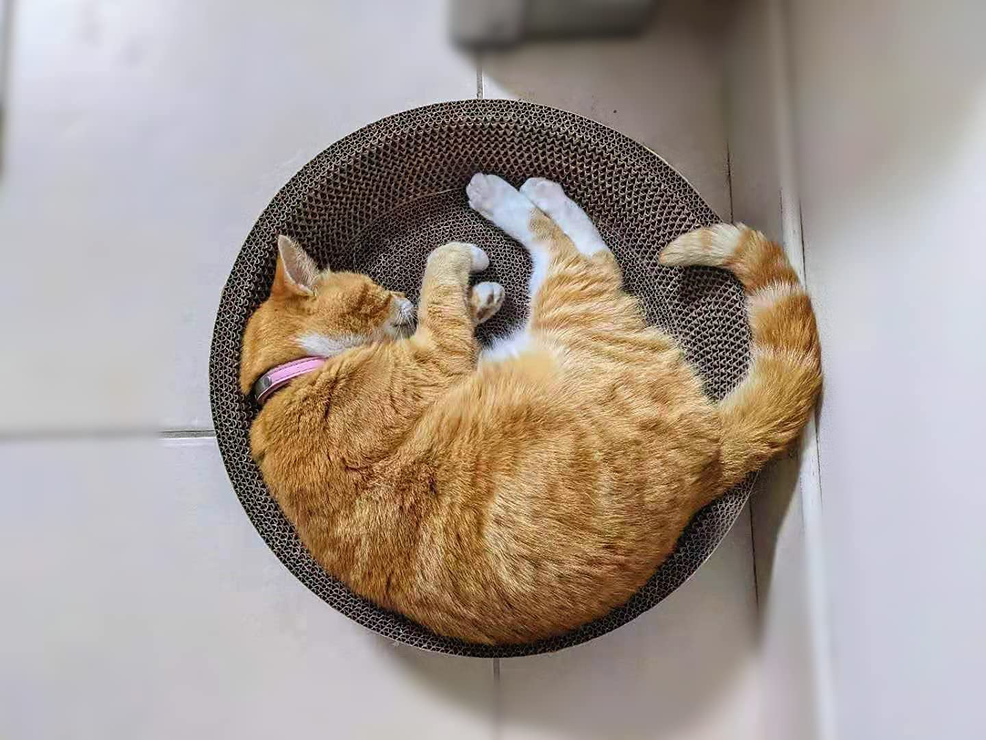 Cat Scratcher Bowl-Shaped Plate Thicken Corrugated Paper Cardboard Nest, Pets Supplier Reversible Kitty Scratching Pad Lounge Bed Interactive Toy image number 6