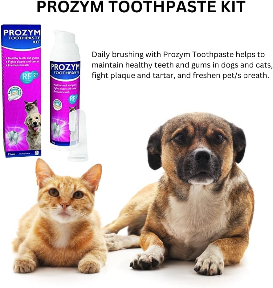 Ceva Prozym Dental Care Toothpaste Kit for Dogs & Cats &ndash; Poultry Flavour, 65Ml image number 4