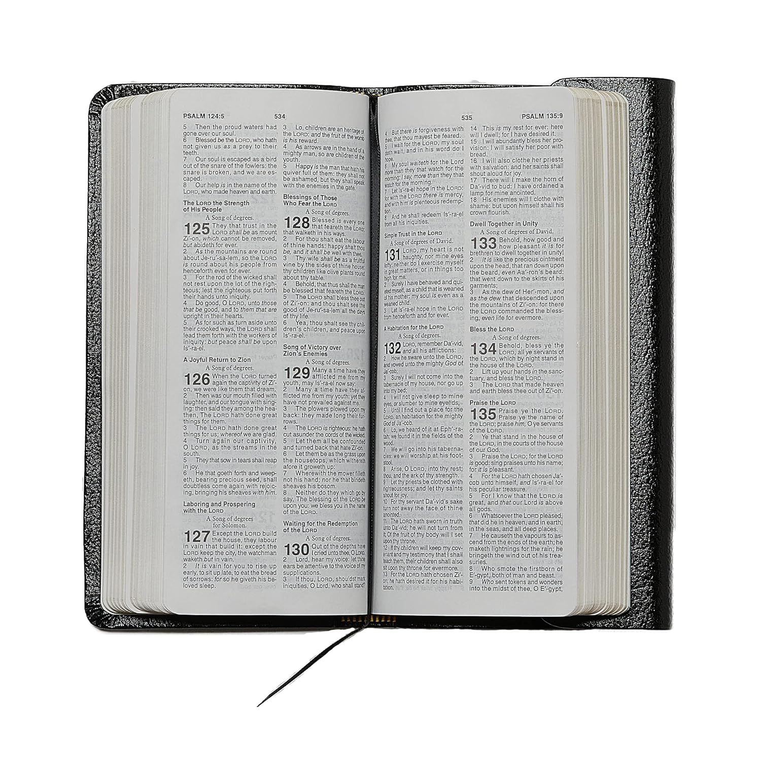 KJV, Checkbook Bible, Compact, Bonded Leather, Burgundy, Wallet Style, Red Letter: Holy Bible, King James Version image number 5