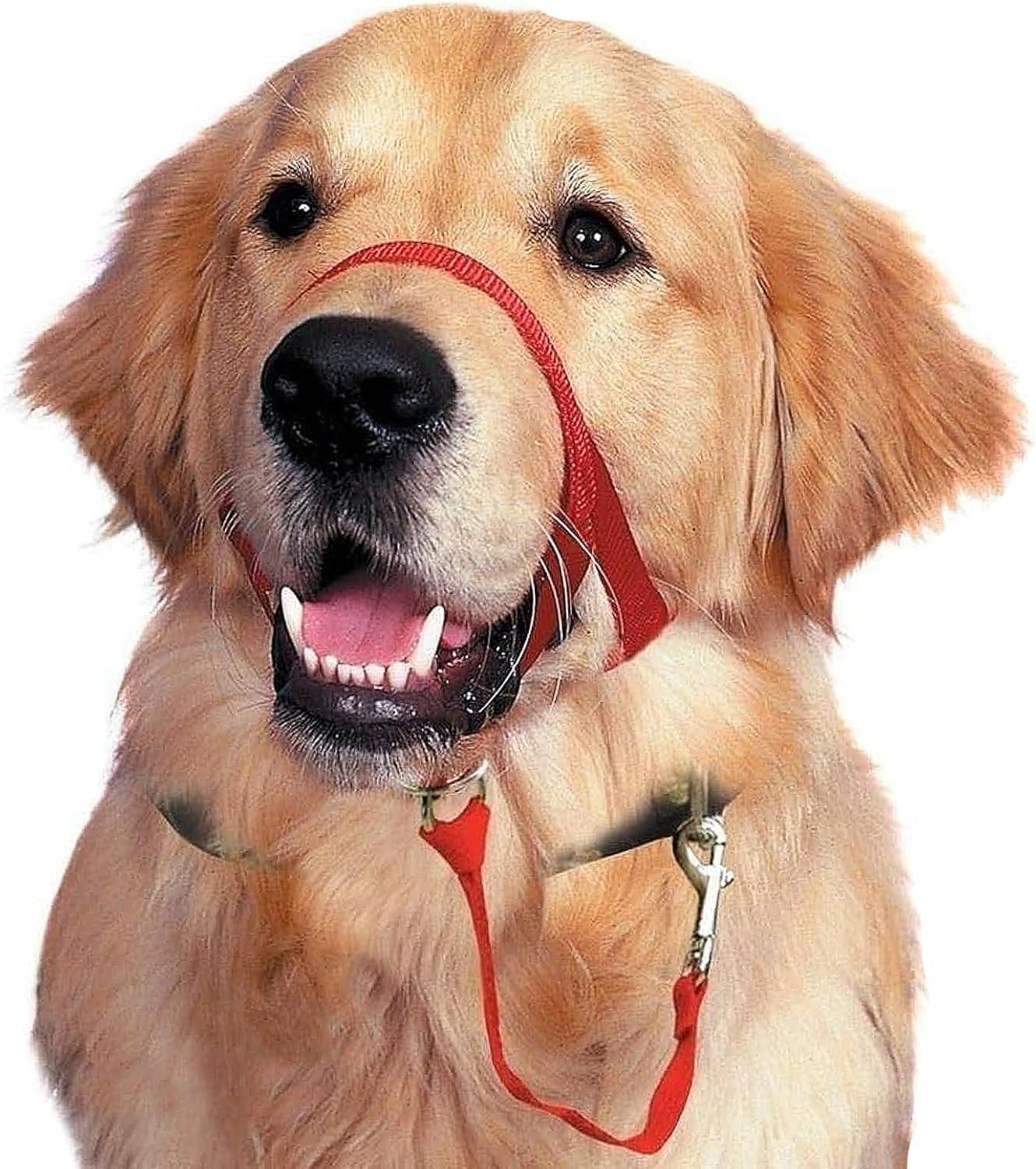 BARKLESS Soft Dog Head Collar, No Pull Training Tool for Small Dogs on Walks, Gentle Halter for Heavy Pullers, Includes a Training Guide