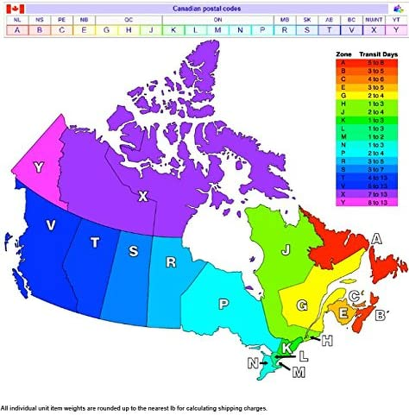 Amscan One Wild Girl Paper Cone Hat 8 Pieces