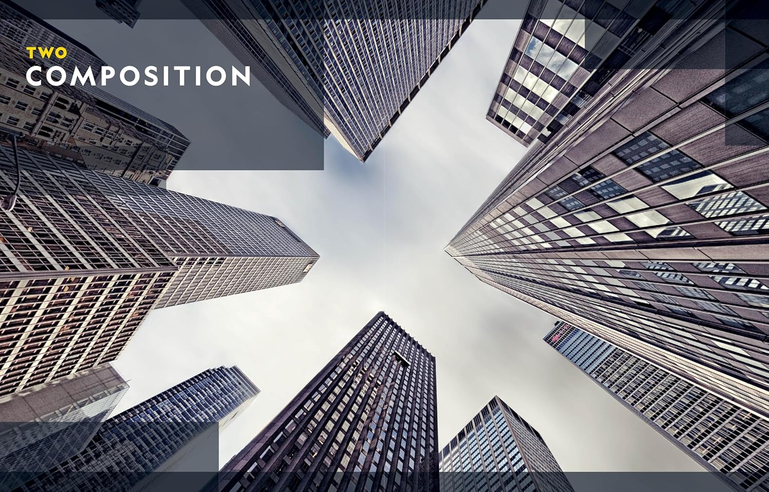 National Geographic Photo Basics: the Ultimate Beginner'S Guide to Great Photography image number 5