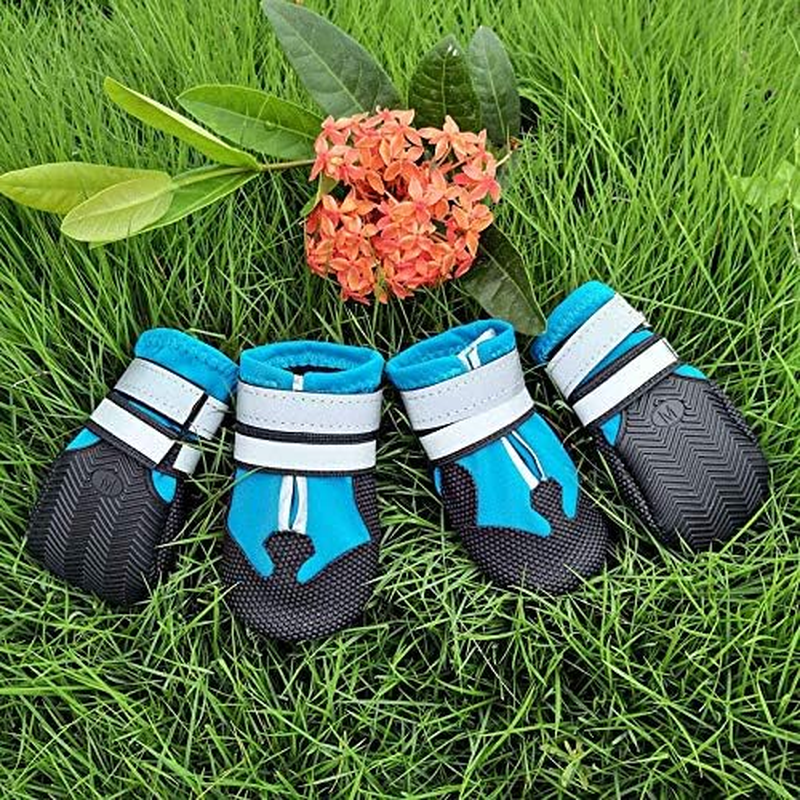 Dog Shoes for Small Dogs: Breathable Dog Boots Paw Protector for Summer Hot Pavement Winter Snow, Outdoor Walking Dog Booties, Indoor Hardfloors Anti-Slip Sole (Turquoise, Large) image number 1
